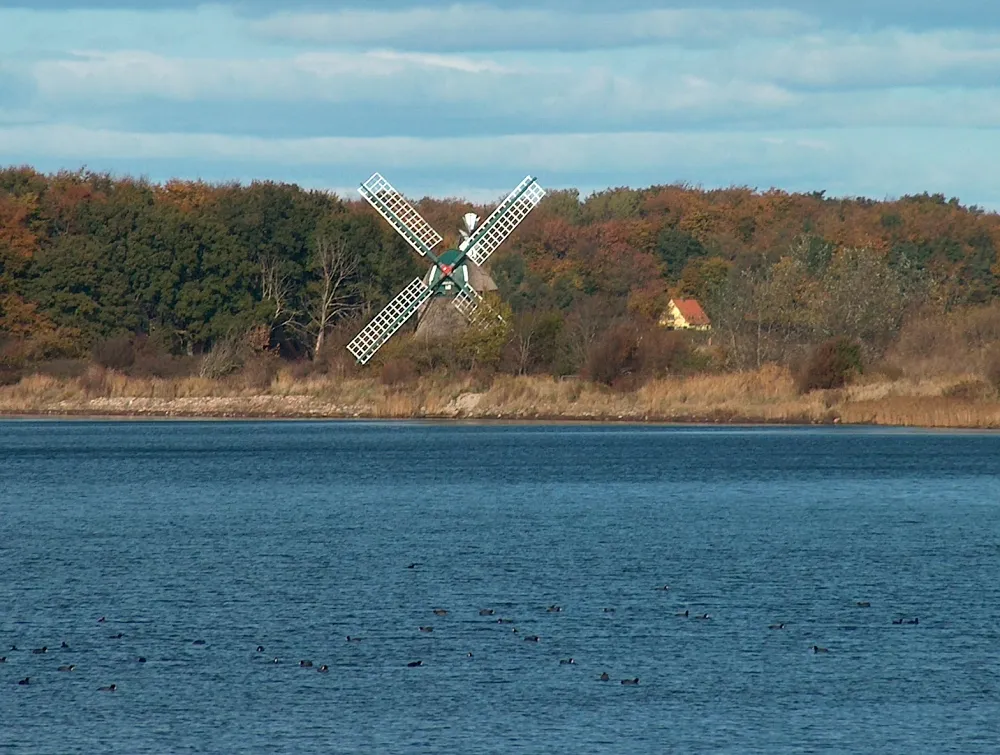 Foto aus Geltinger Birk