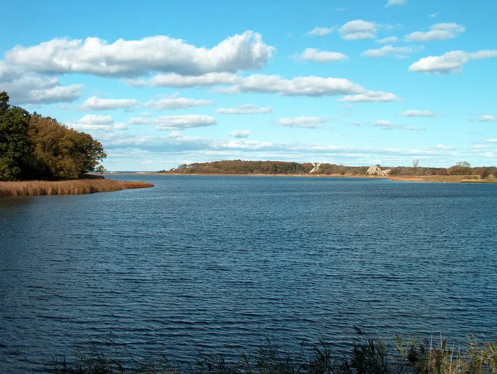 Foto aus Geltinger Birk