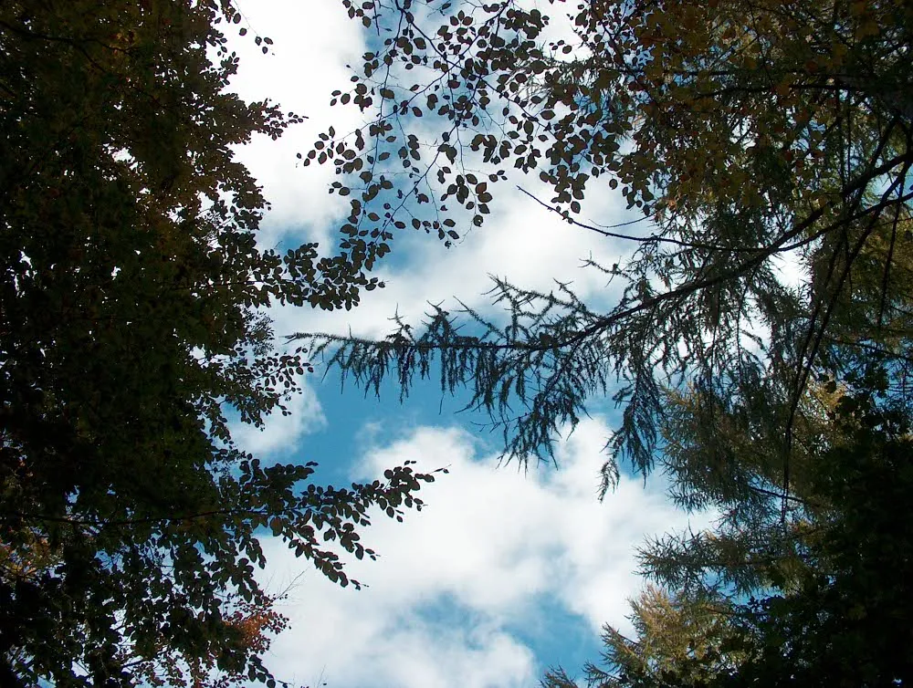 Foto aus Geltinger Birk