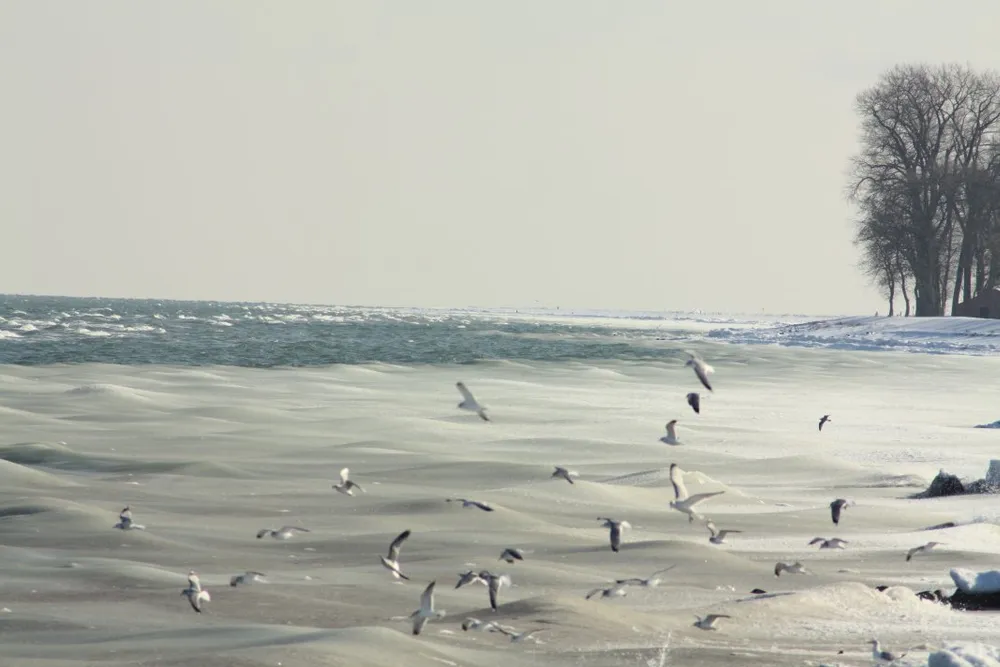 Foto aus Winter an der Ostsee