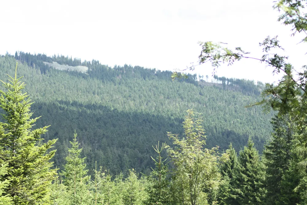 Foto aus Lohberg (Bayerischer Wald)