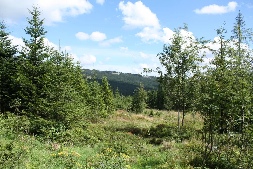 Foto aus Lohberg (Bayerischer Wald)