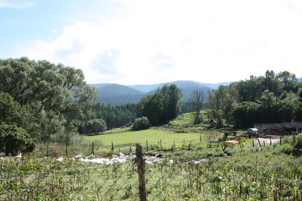 Foto aus Lohberg (Bayerischer Wald)