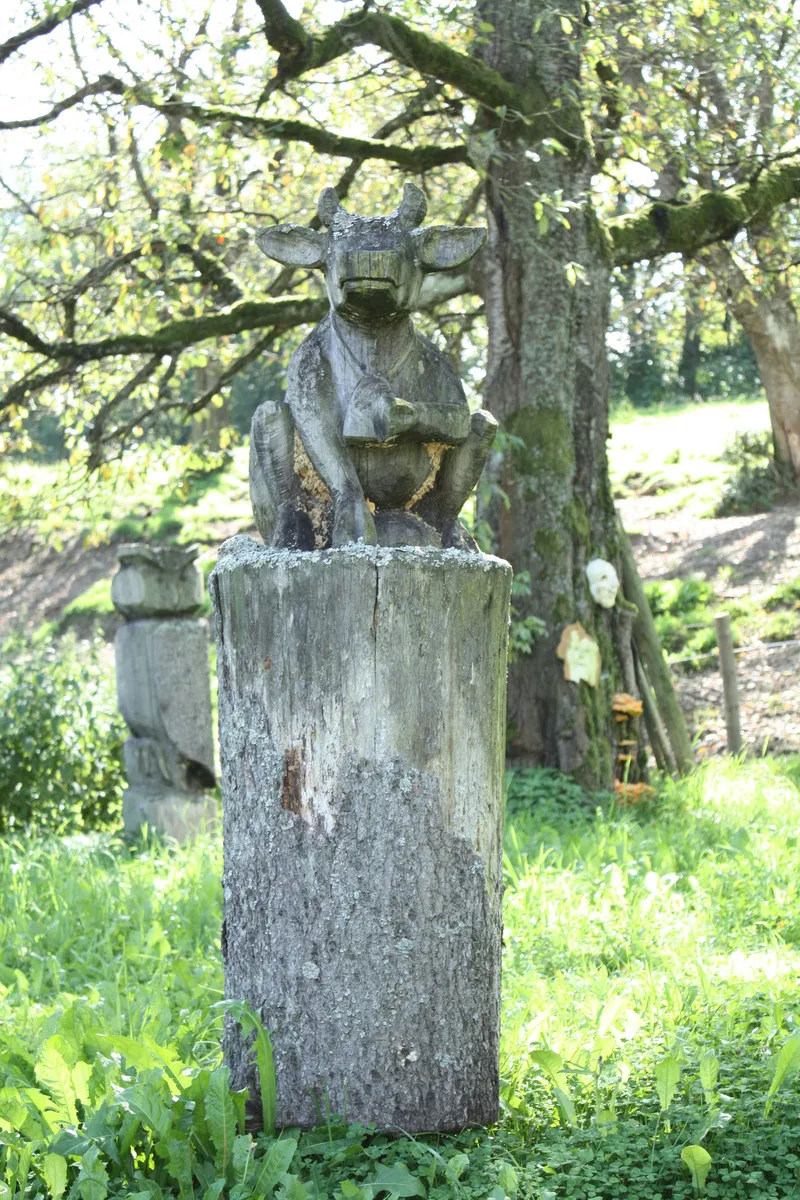 Foto aus Lohberg (Bayerischer Wald)