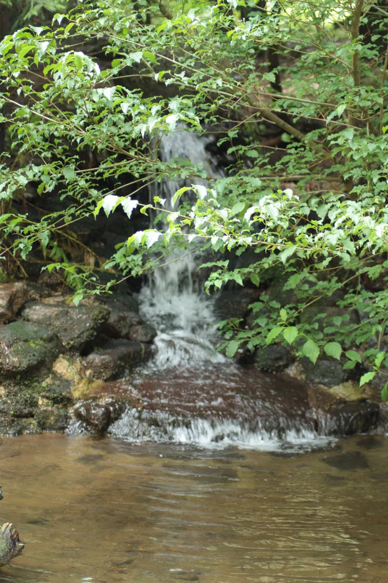 Foto aus Lohberg (Bayerischer Wald)
