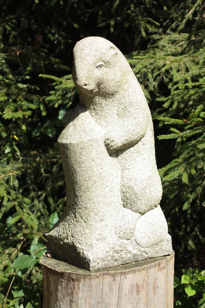 Foto aus Lohberg (Bayerischer Wald)