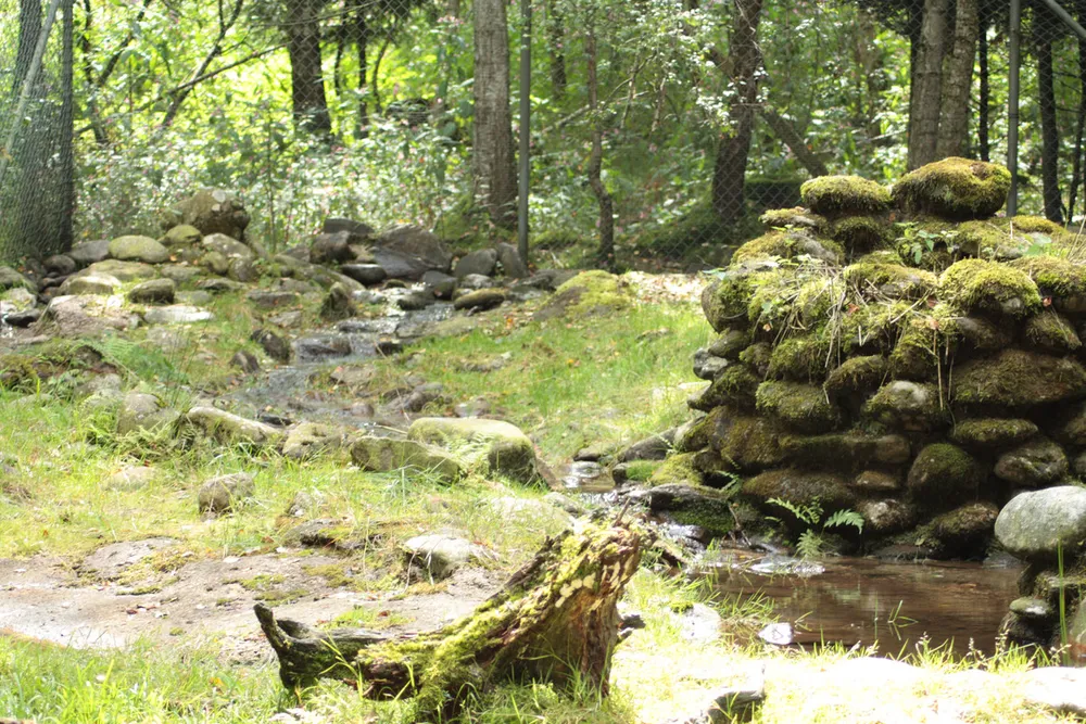 Foto aus Lohberg (Bayerischer Wald)