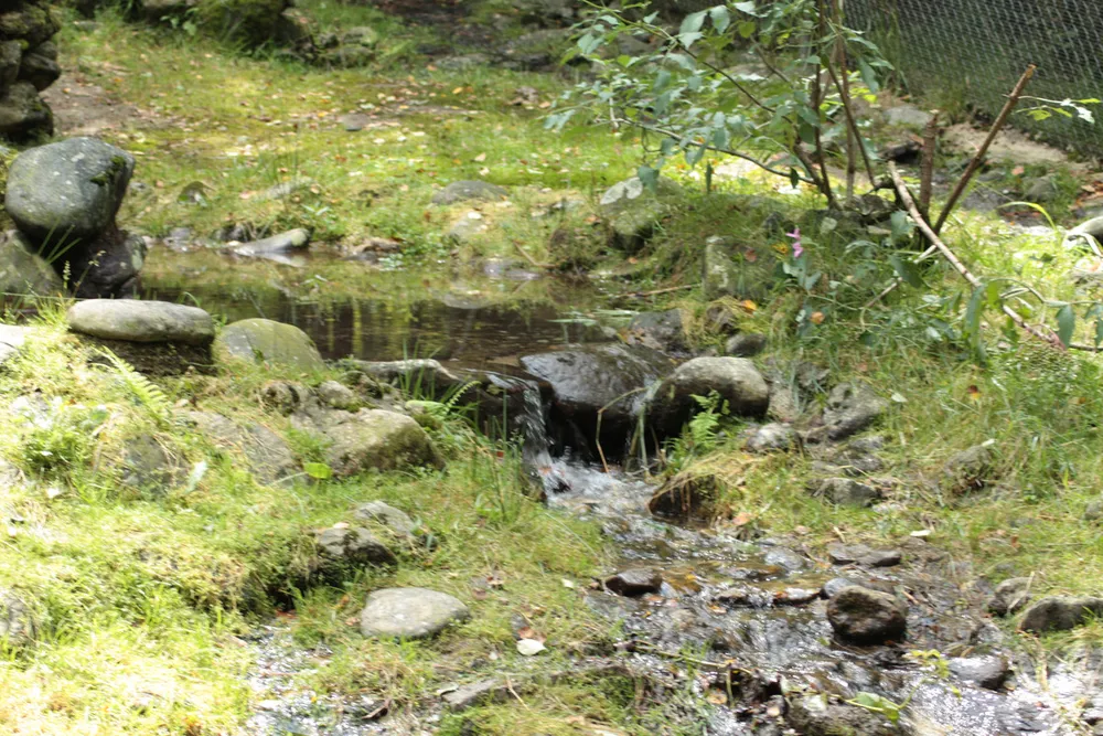 Foto aus Lohberg (Bayerischer Wald)